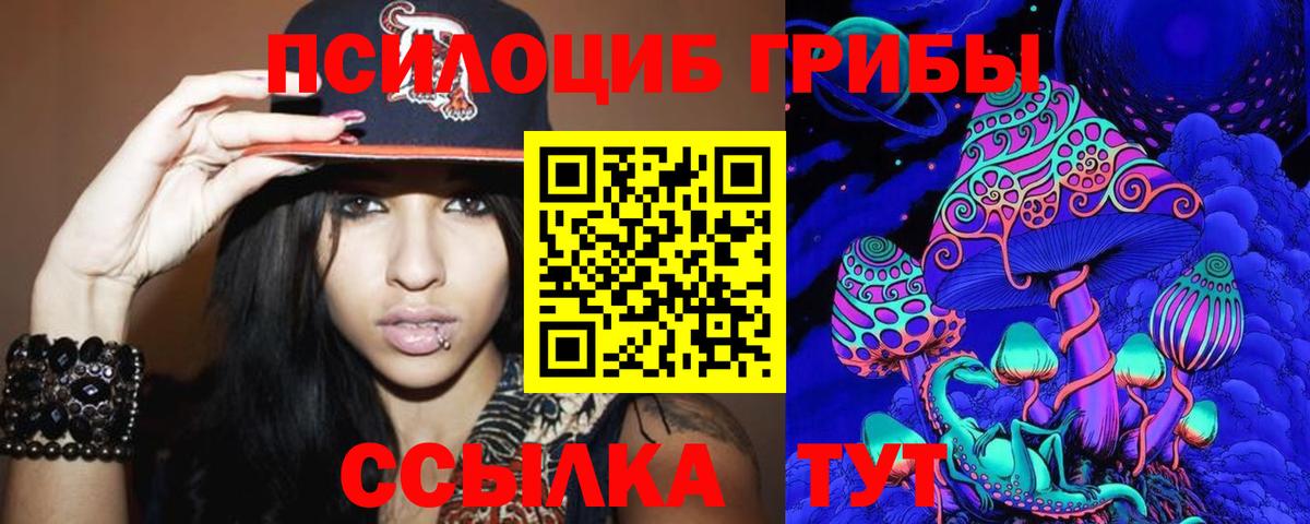Псилоцибиновые грибы MAGIC MUSHROOMS  Вход с VPN  Котельники 