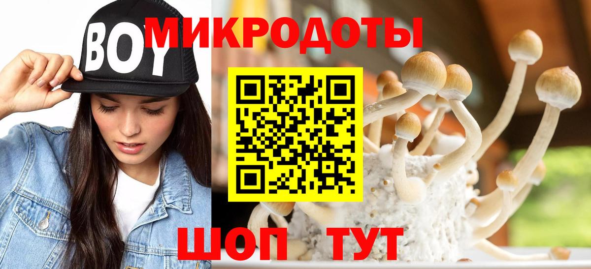 Галлюциногенные грибы Psilocybe Котельники